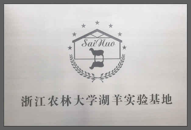公司榮譽